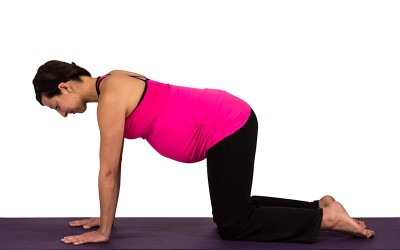 Cat Pose – Ideal for pregnant women practicing prenatal yoga