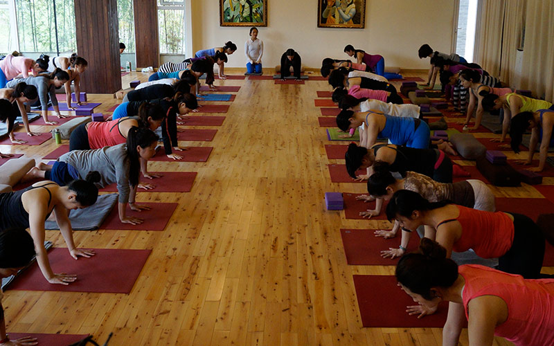 Why practice Prenatal Vinyasa Yoga?