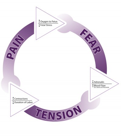 Fear Tension Pain cycle during childbirth