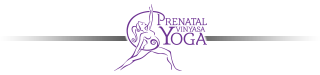 Prenatal Yoga Teacher Training
